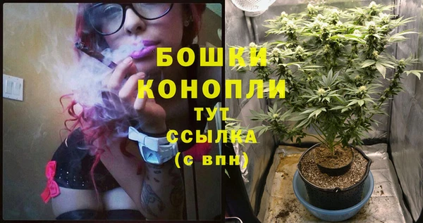 крисы Аркадак