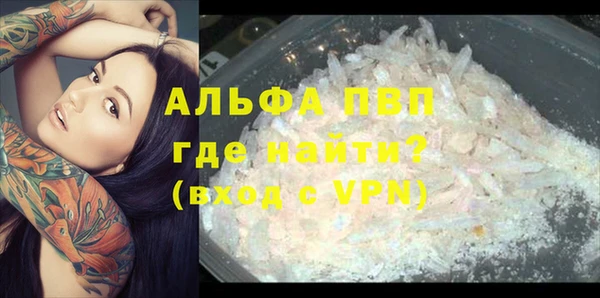 гашик Баксан