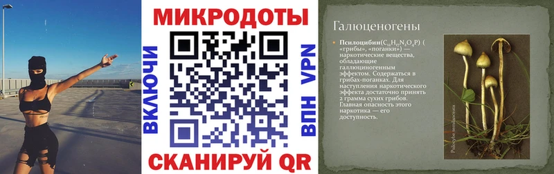 купить наркотики цена  Бежецк  Галлюциногенные грибы мухоморы 